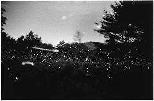 An image from Gregory Crewdsen's publication, "Fireflies." A black and white photograph of fireflies in a field. 