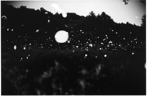 An image from Gregory Crewdsen's publication, "Fireflies." A black and white photograph of fireflies in a field (3)