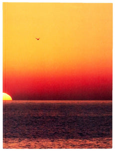 Cover of catalog for Luhring Augustine's exhibition "The Waning of Justice". Cover features image of sun setting over the ocean.