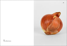 Load image into Gallery viewer, Interior of Elad Lassry&#39;s &quot;On Onions,&quot; with photograph of onion.