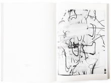 Load image into Gallery viewer, Image of the interior of the 2004 Luhring Augustine catalog, with work by Christopher Wool on the right page (2).