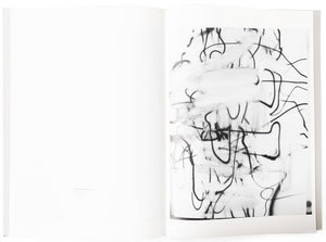 Image of the interior of the 2004 Luhring Augustine catalog, with work by Christopher Wool on the right page (2).