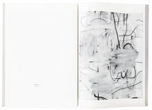 Load image into Gallery viewer, Image of the interior of the 2004 Luhring Augustine catalog, with work by Christopher Wool on the right page (3)
