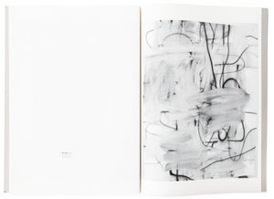 Image of the interior of the 2004 Luhring Augustine catalog, with work by Christopher Wool on the right page (3)
