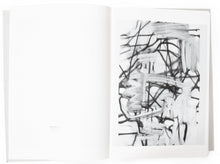 Load image into Gallery viewer, Image of the interior of the 2004 Luhring Augustine catalog, with work by Christopher Wool on the right page.