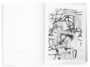 Image of the interior of the 2004 Luhring Augustine catalog, with work by Christopher Wool on the right page.