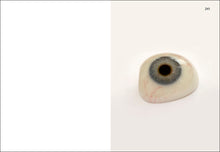 Load image into Gallery viewer, Interior of Elad Lassry&#39;s &quot;On Onions,&quot; with photograph of eyeball.