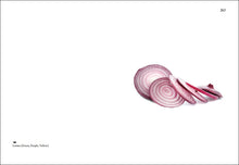 Load image into Gallery viewer, Interior of Elad Lassry&#39;s &quot;On Onions,&quot; with photograph of sliced red onions.